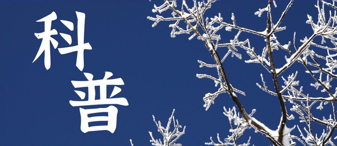 科普 | 冬季雨雪天氣?；愤\輸車輛注意事項