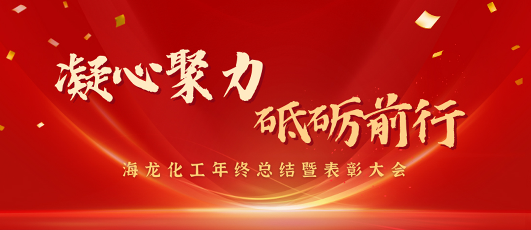 表彰 | 凝心聚力，砥礪前行，海龍化工年終總結(jié)暨表彰大會(huì)圓滿舉行