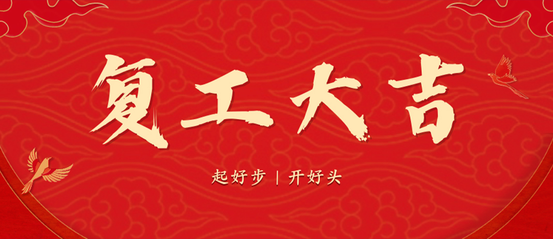 <strong>上好開工第一課，干出新年新氣象--海龍化工召開春節(jié)后復工復產專題部署會議</strong>